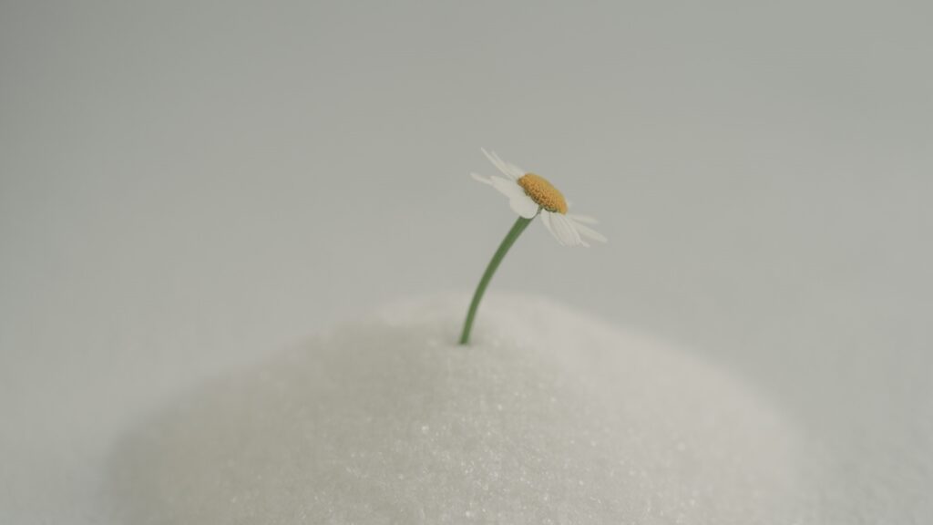 Bloem steekt uit een berg kristalsuiker op een egale lichtgrijze achtergrond